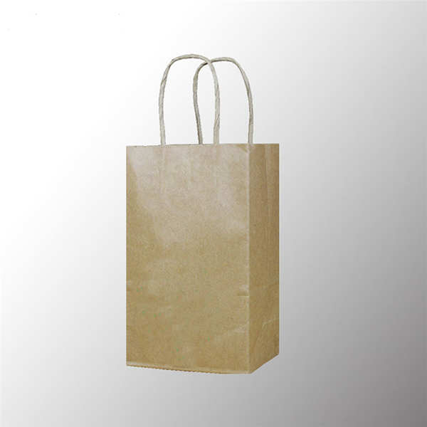 Kraft paper bag with twist handle